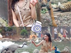 -西安秦岭野生动物园