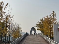 -大兴滨河森林公园