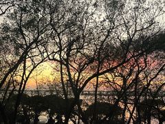 -宝安西湾红树林湿地公园