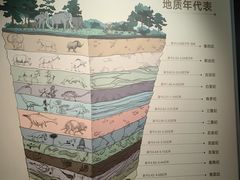 -四川大学博物馆