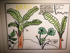 -上海昆虫博物馆