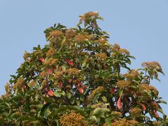 -云龙湖旅游景区