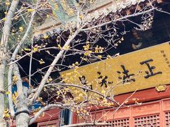 景点-洛阳白马寺