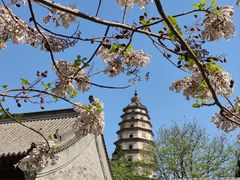 -开元寺塔
