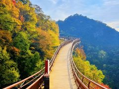-少华山国家森林公园