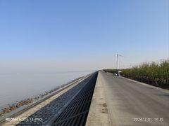 -上海长兴岛郊野公园