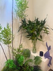 -FUMEIHUI·科技美肤·美体SPA