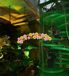 -恐龙探索乐园(磁器口店)