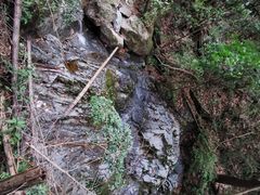 -祁门牯牛降观音堂风景区