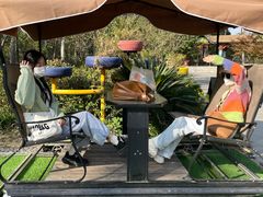 -合肥滨湖国家森林公园