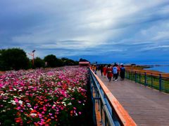 -青海湖国家重点风景名胜区