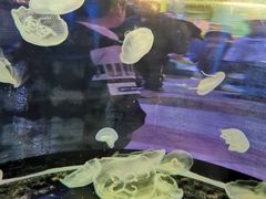 -横店影视城梦幻谷园区