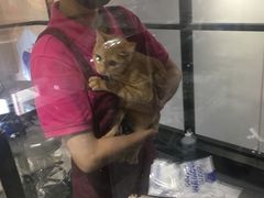 -MOLLY'S萌宠生活馆