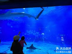 -烟台海昌鲸鲨海洋公园