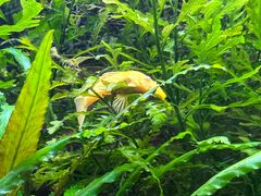 -上海海洋水族馆