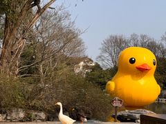 -扬州瘦西湖温泉