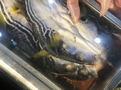 -吕四渔港码头海鲜餐厅