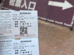 -《驼铃传奇》秀