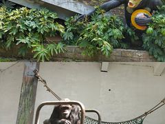 -宁波野生动物园