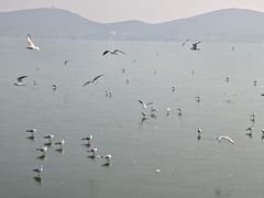 -云龙湖旅游景区