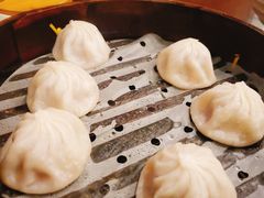 鲜肉小笼-德兴馆(山西南路店)