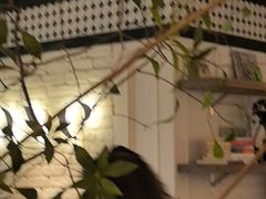 -良木缘咖啡西餐(优品道广场店)