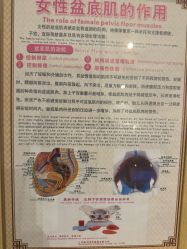 -菊子小颜·日式整骨