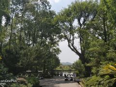 -邓小平故里