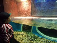 -成都浩海立方海洋公园