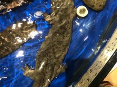 -海景壹号大酒店(滨湖店)