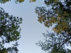 -广州市白云山风景名胜区