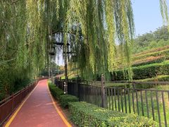 -西安汉城湖景区