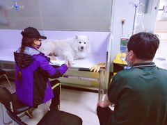 -天时宠物医院24小时疑难病例会诊中心(顾乡大街总院)