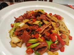-鲁宴·鲁煨黄河生态大鲤鱼(月坛店)
