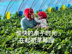 -辛庄国际文化艺术区