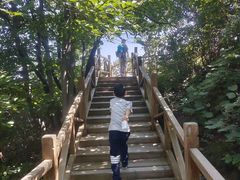 -大岭沟猕猴桃谷风景区