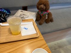 -小意思咖啡店(草桥店)