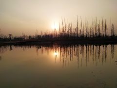 -白鹭湾湿地公园