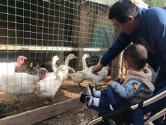 -呀路古热带植物园