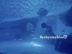 -泉城欧乐堡海洋极地世界