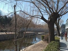 -元大都城垣遗址公园