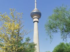 -中央广播电视塔