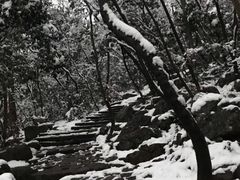 景点-钟山体育运动公园