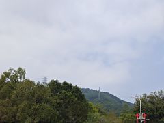 -凤岗南门山森林公园