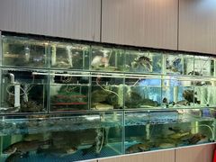 -祈胜邨•顺德鱼生•顺德菜(容桂店)