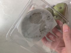 -泉州海丝野生动物世界