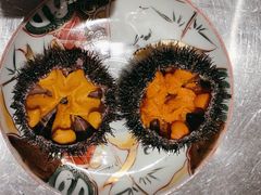 -鲤·鮨KOISUSHI