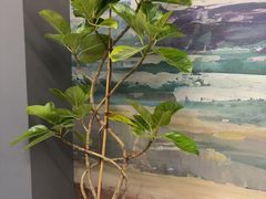 -江南宴•沿江菜江南味(七街店)