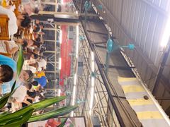 -百利鸽王(紫薇路店)