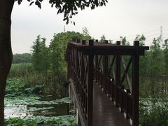 -同里国家湿地公园
